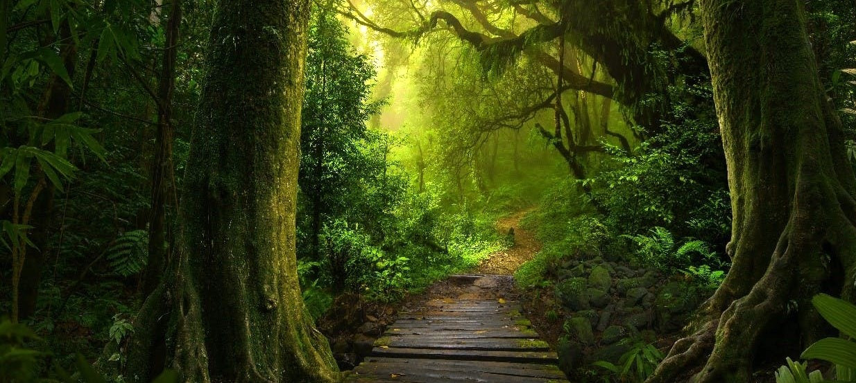bijoux en cuivre forgés à la main - artisanat traditionnel - forêt mystique imaginaire, berceau de mon inspiration